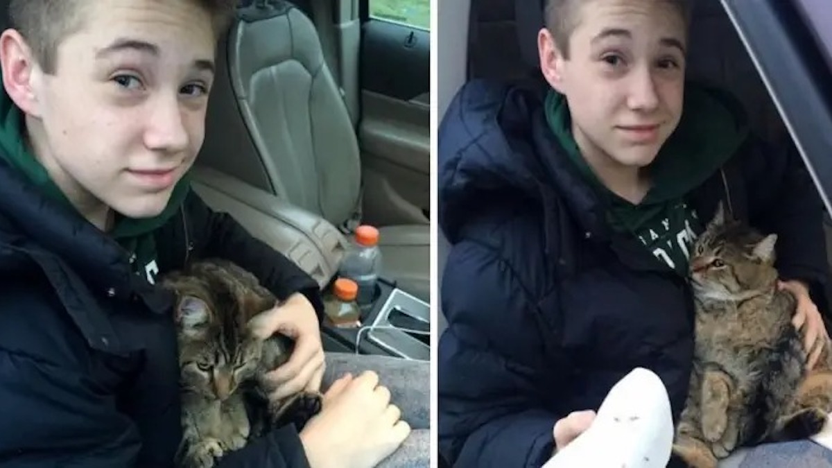 Photos déchirantes : Un adolescent sauve la vie d'un chat jeté d'une voiture en marche…