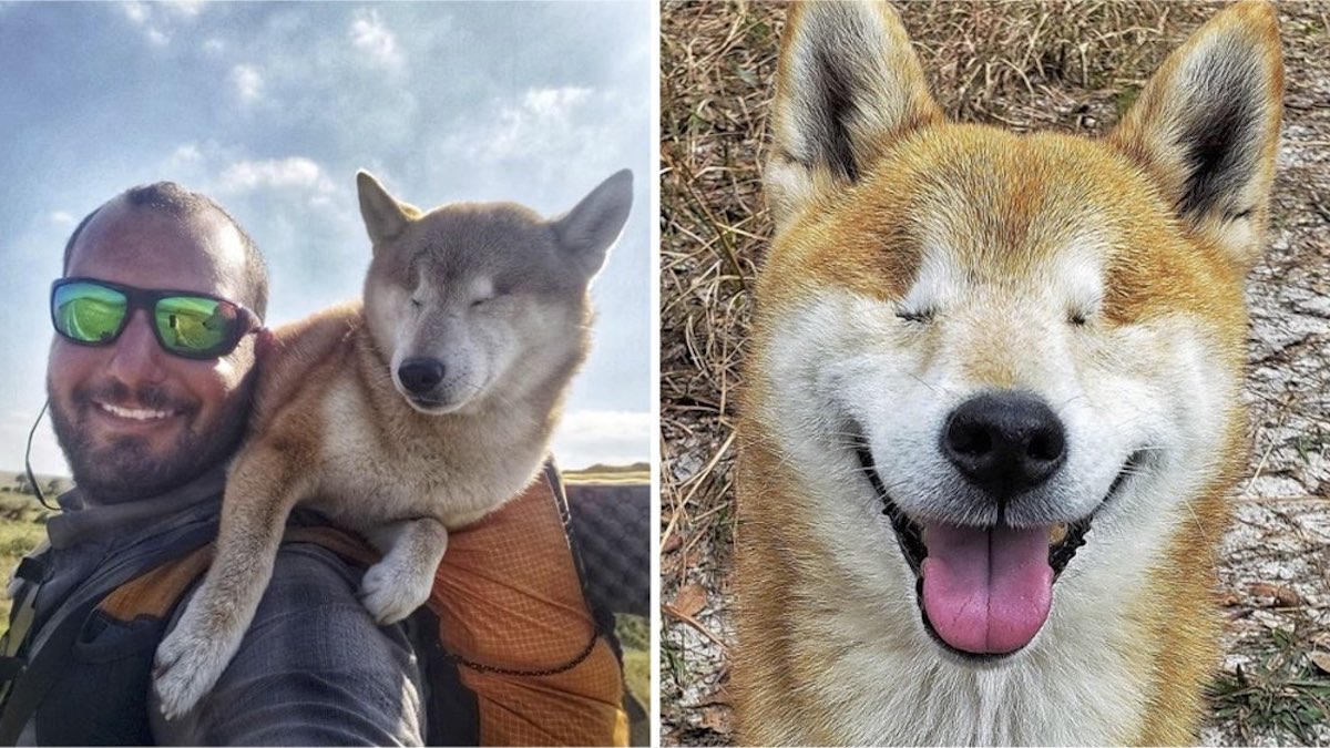 Photos: Il emmène sa chienne aveugle dans un voyage de 1 000 km à travers le désert pour lui redonner confiance