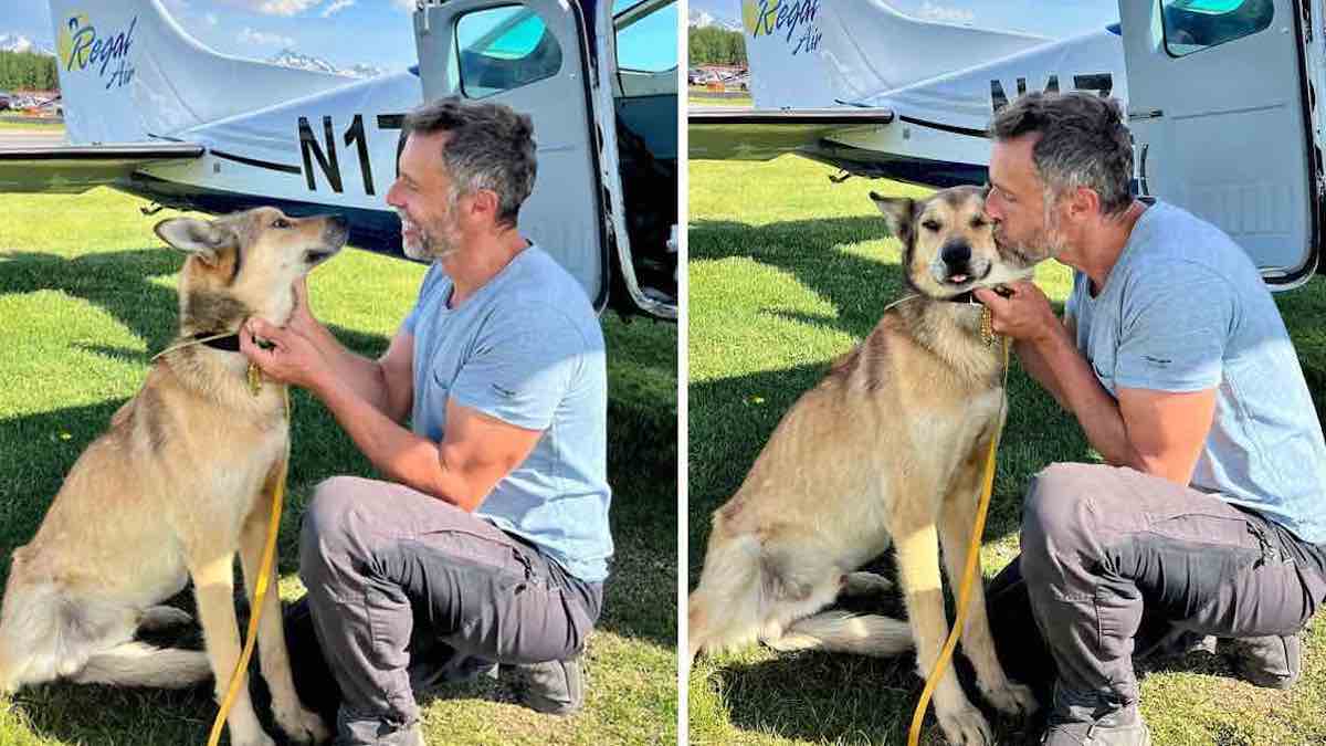 Un homme donne un gros bisou à son chien quand il le revoit après 3 mois de disparition