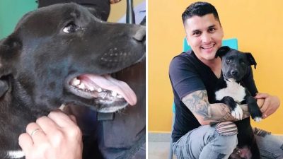 Un policier a sauvé un chien qui était battu et l'a adopté pour la vie