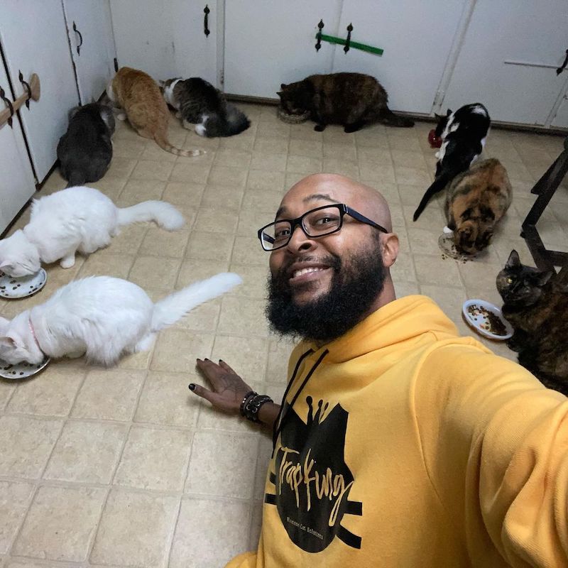 cats