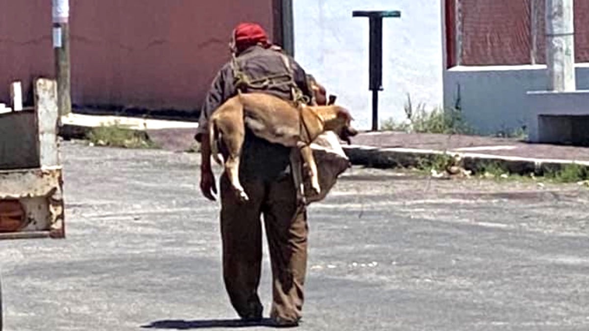Un vieil homme a porté un chien sur son dos pour qu'il ne se brûle pas les pattes (photos)