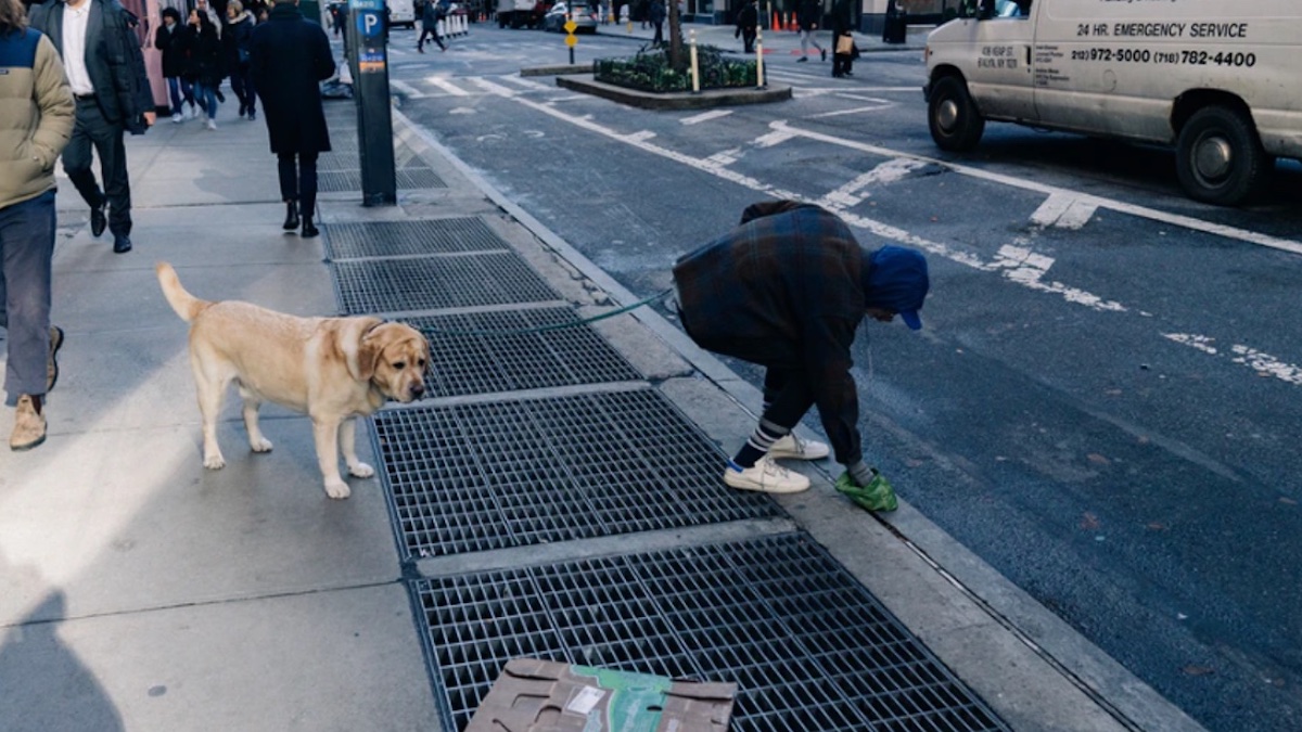 Une communauté va utiliser des tests ADN pour identifier les propriétaires qui ne ramassent pas les excréments de leurs chiens