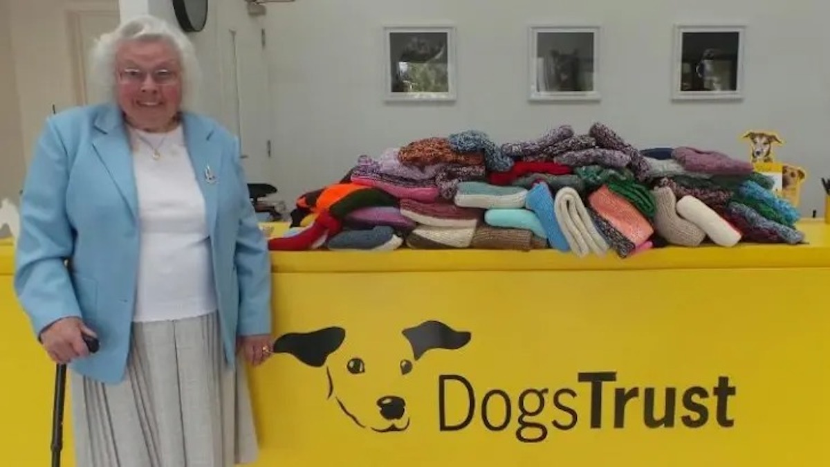 Une femme de 89 ans a tricoté à la main 450 manteaux et couvertures pour les chiens d'un refuge