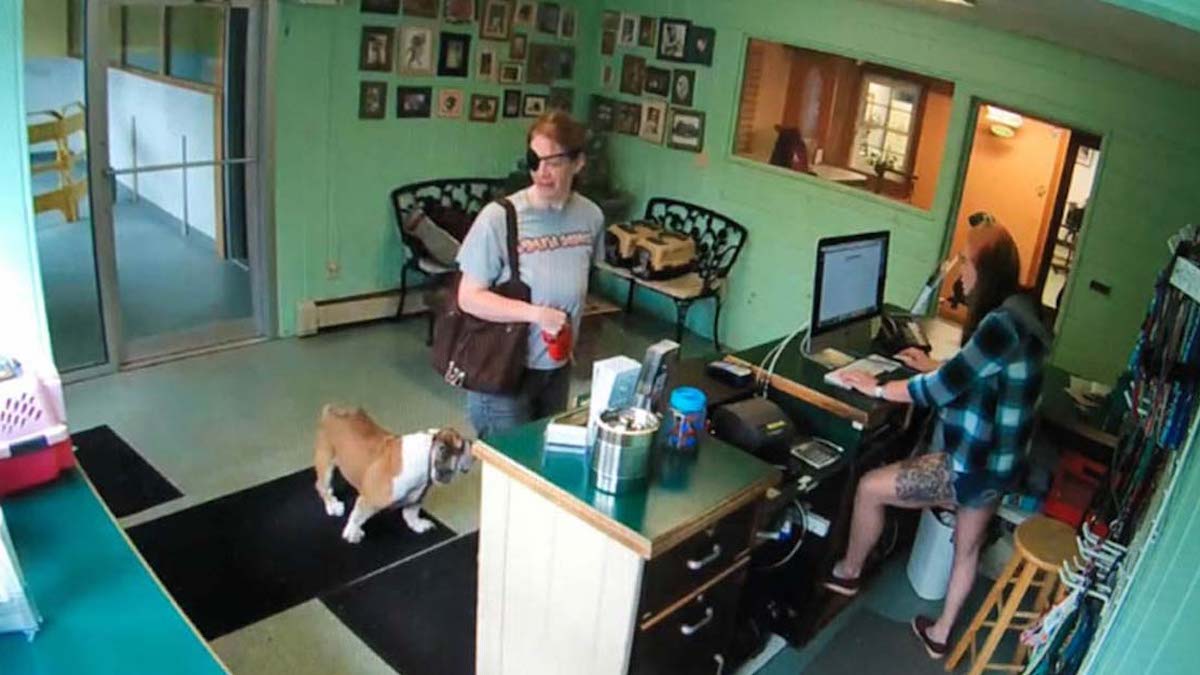 Une femme filmée par une vidéo abandonne son chien malade chez un toiletteur