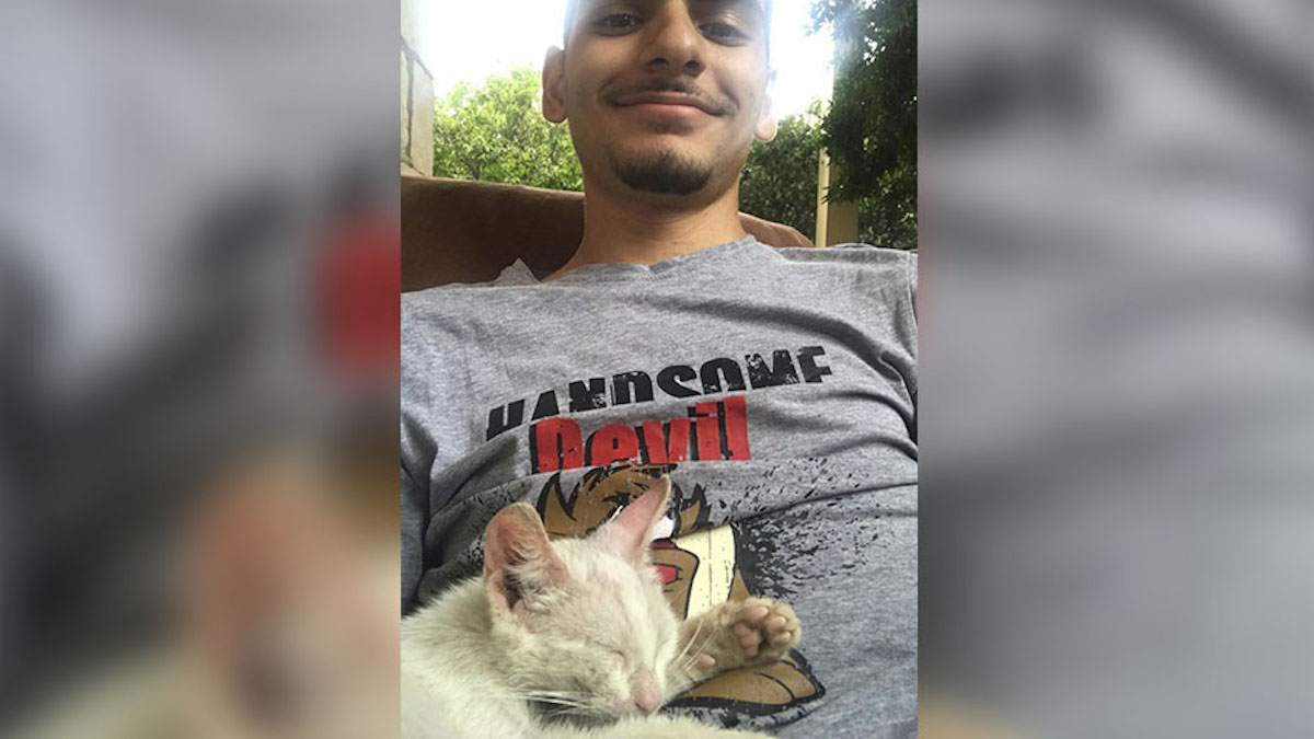 Vidéo: Un homme fait une sieste dehors et se réveille avec un chaton endormi sur lui