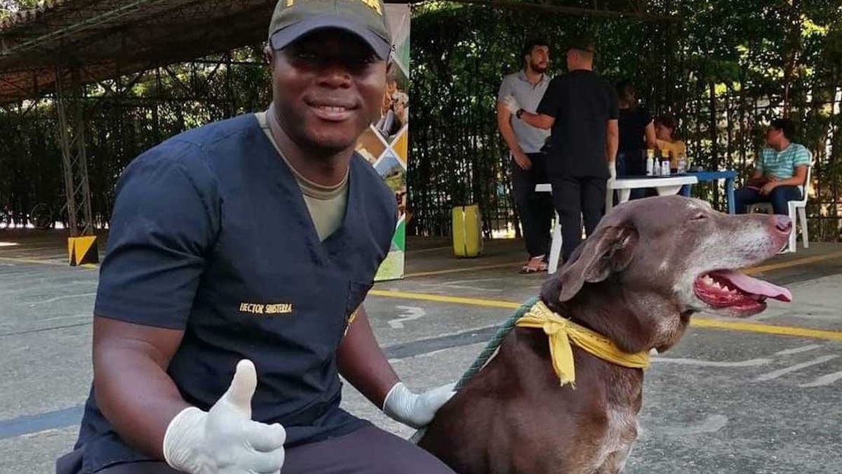 Vidéo: Un officier de police sauve et dresse des chiens abandonnés durant son temps libre : "Je fais cela avec beaucoup d'amour"