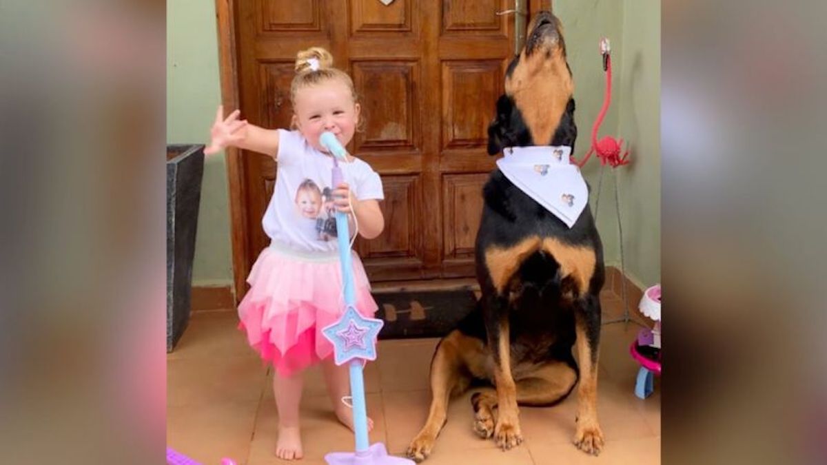 Vidéo: Une petite fille et sa rottweiler chantent ensemble dans un duo inséparable