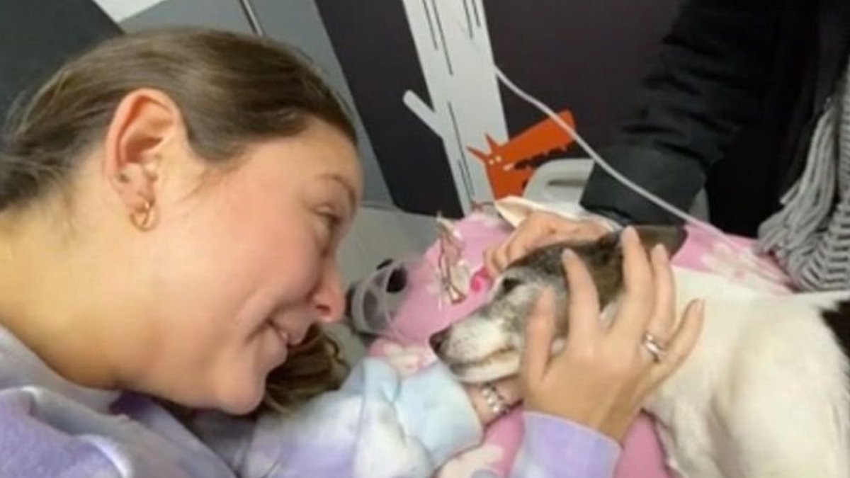 Vidéo virale : Une femme dit au revoir à sa chienne âgée : "Elle a ouvert les yeux et s'est mise à pleurer".