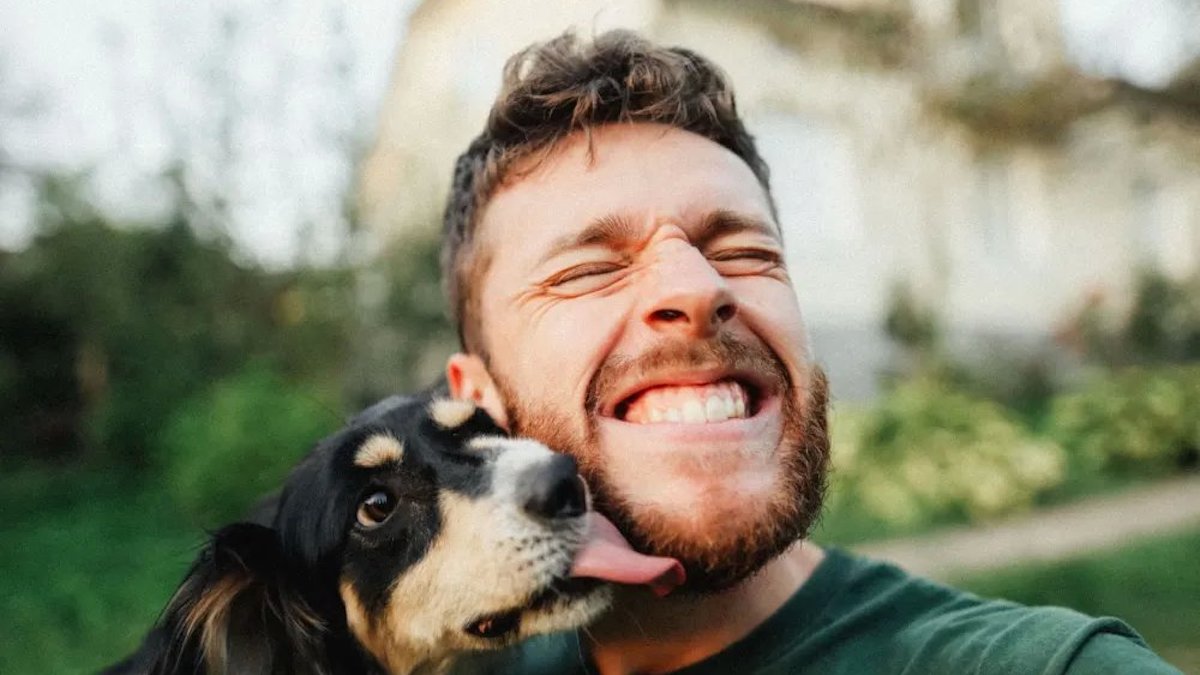 Découvrez pourquoi les chiens aiment une personne (en particulier) plus qu'une autre