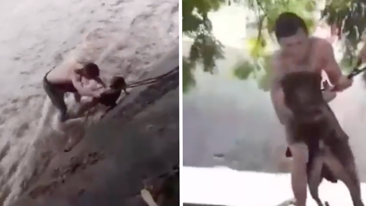 Incroyable vidéo: Un jeune homme a risqué sa vie pour sauver un chien qui se noyait lors d'un violent cyclone