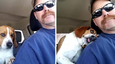 Moment émouvant : Un homme sauve un beagle de l'euthanasie dans un refuge, il le remercie avec un câlin