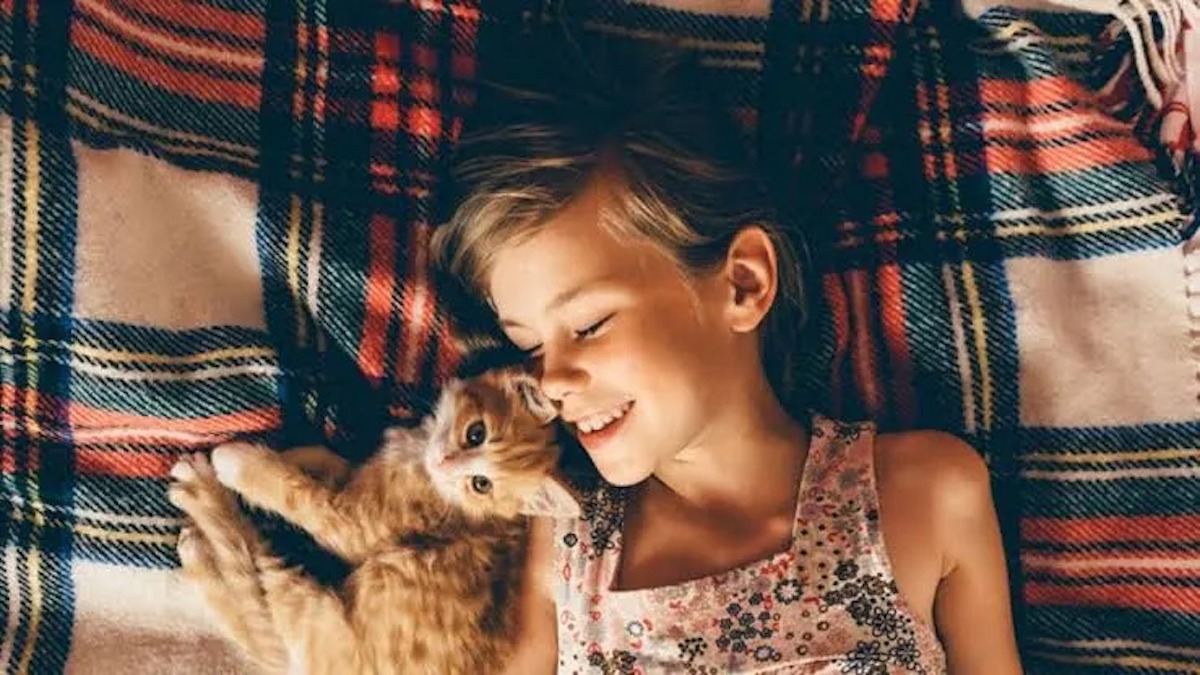 Pourquoi les chats aiment-ils une personne plus qu'une autre ? Voici les raisons