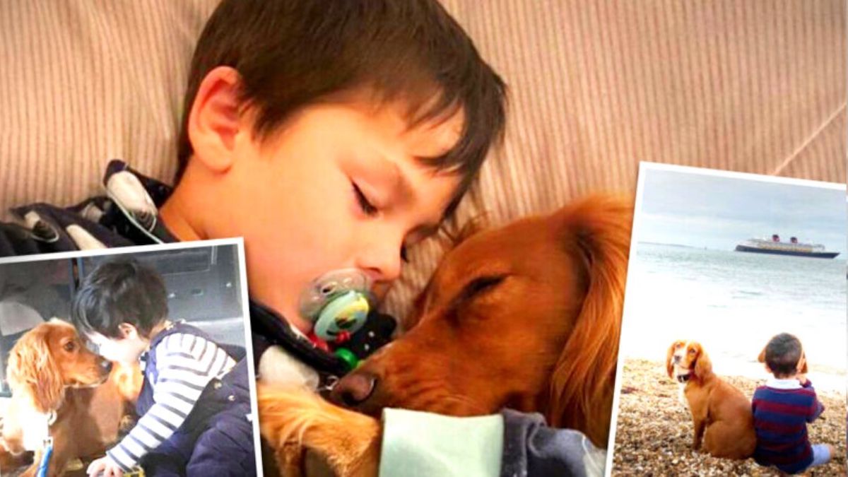 Un garçon autiste qui ne parlait pas reçoit un chien et commence à prononcer ses 1er mots