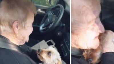 Vidéo émouvante: Une femme âgée a retrouvé sa chienne et l'a serrée dans ses bras après avoir passé des jours à l'hôpital
