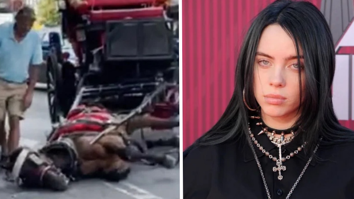 Vidéo indignante: Billie Eilish se joint à d'autres célébrités pour mettre fin à l'utilisation de chevaux pour les calèches