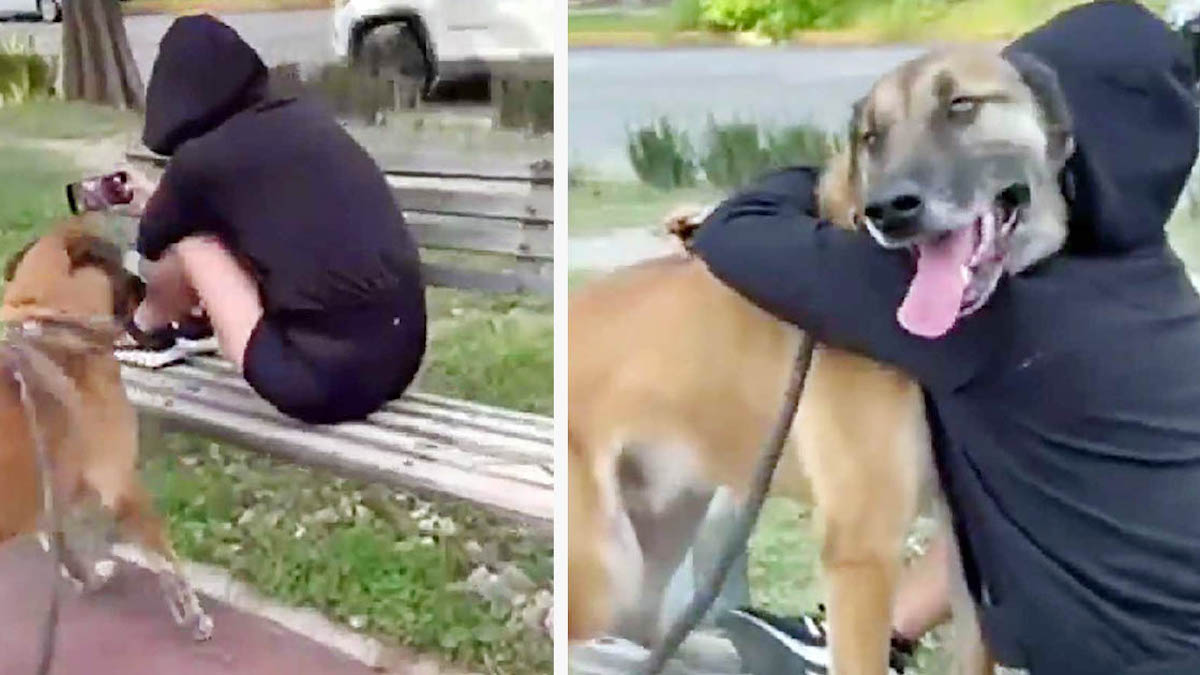 Vidéo touchante : Après une longue séparation, un chien surprend sa maîtresse lorsqu'il la reconnaît dans le parc