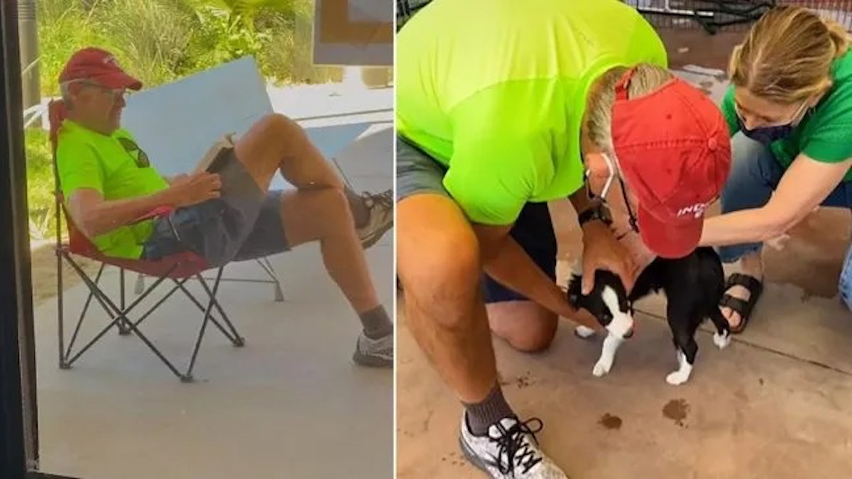 Vidéo: Un homme campe devant un refuge pour pouvoir adopter son chien préféré