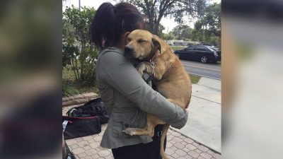Vidéo: Une chienne effrayée ne cesse d'étreindre ses sauveteurs avec gratitude