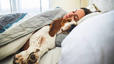 Est-ce que dormir avec mon chien ou mon chat est bon ou mauvais ?