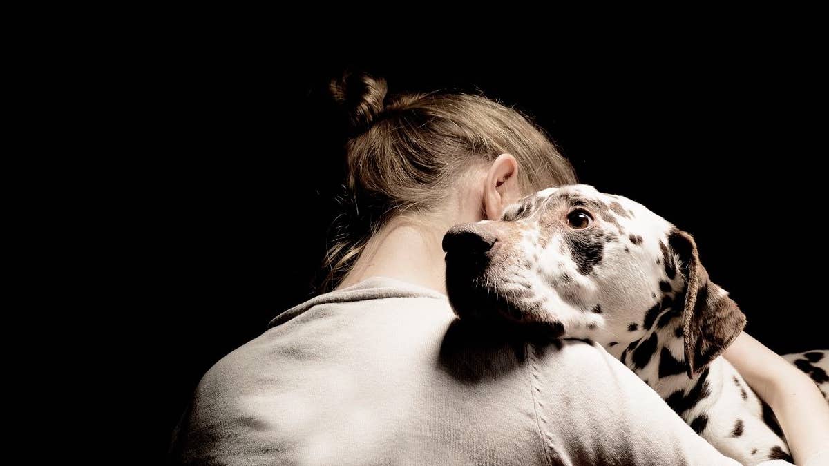 Impressionnant : voici comment un chien a sauvé sa maîtresse lorsqu'on a essayé de la tuer