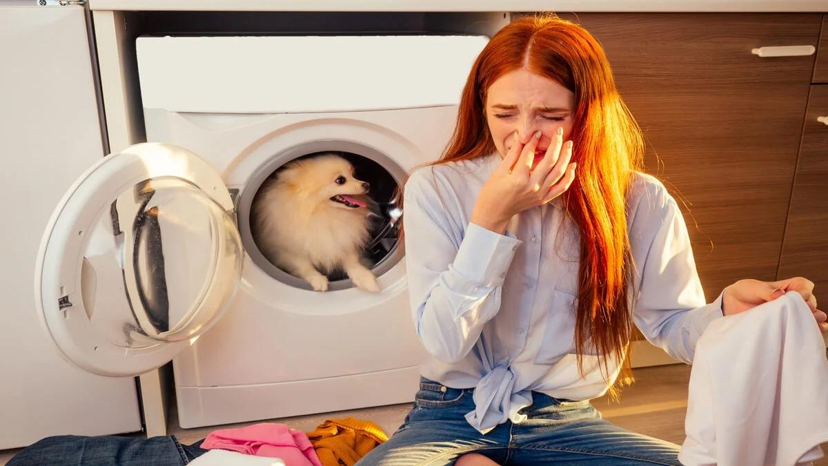 Voici la meilleure technique pour éliminer les odeurs de chien dans la maison