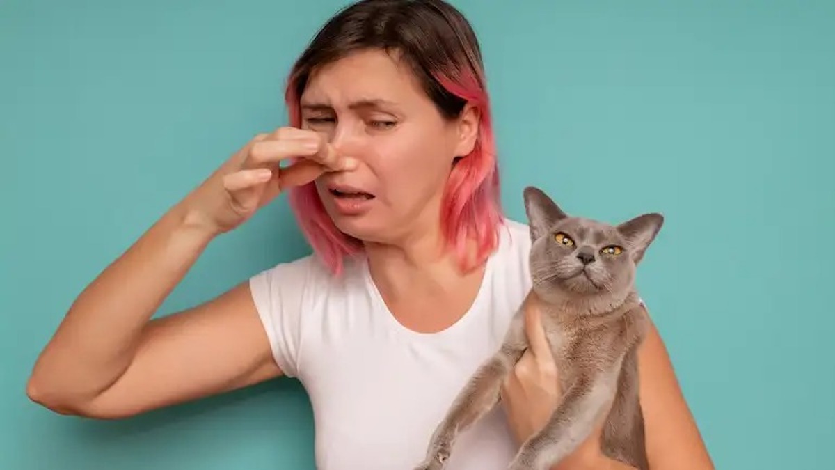 Pourquoi mon chat a-t-il mauvaise haleine ? Causes possibles et moyens de l'éviter