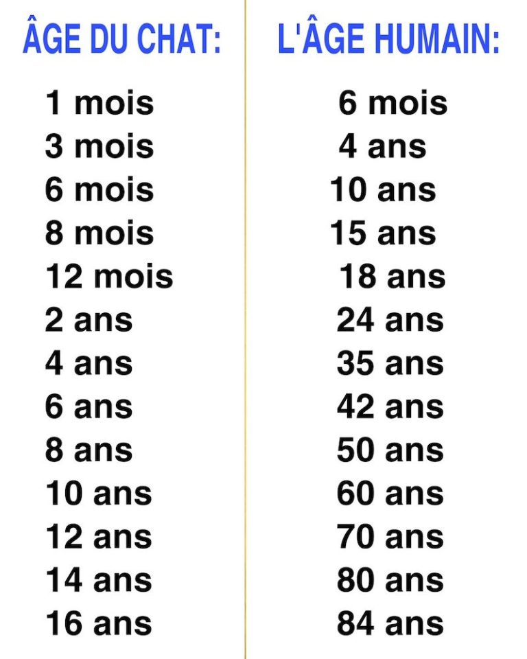 Quel âge a mon chat s