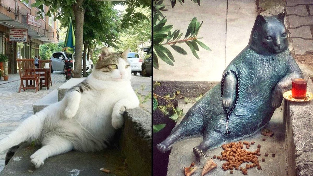 L'adorable statue d'un chat honorée par ses voisins après avoir quitté ce monde