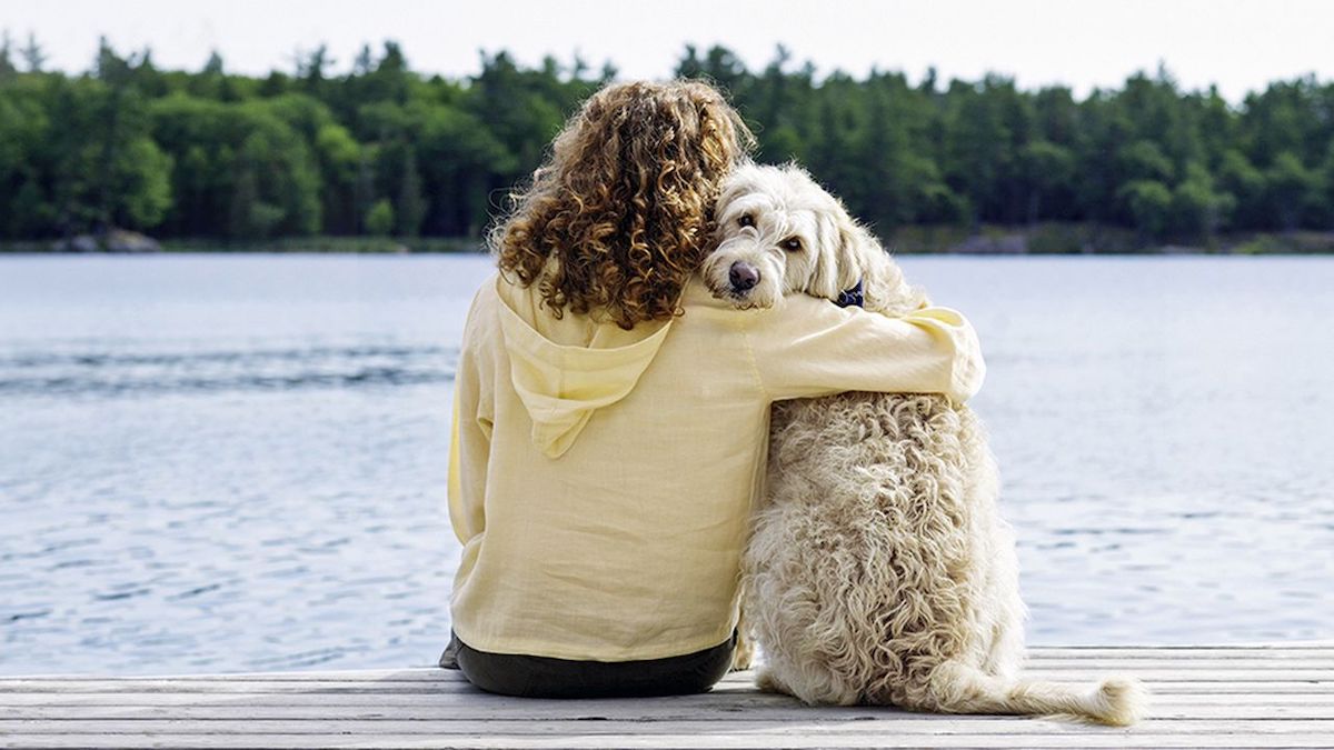 Voici comment faire face à la perte d'un chien et le deuil, selon des experts