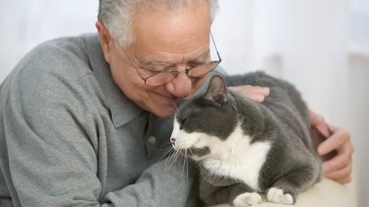 Voici les signes révélateurs qui prouvent que votre chat vous aime