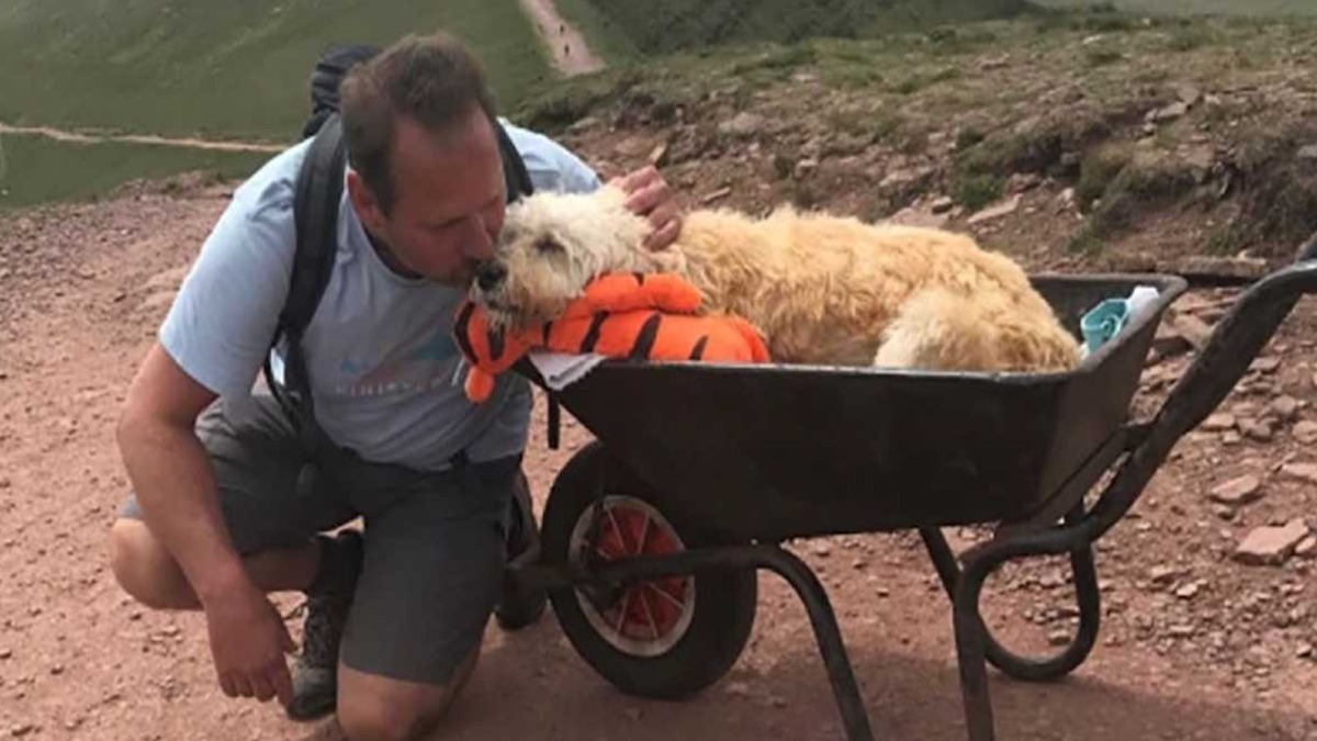 Vidéo : Il emmène son chien dans sa montagne préférée pour une dernière aventure