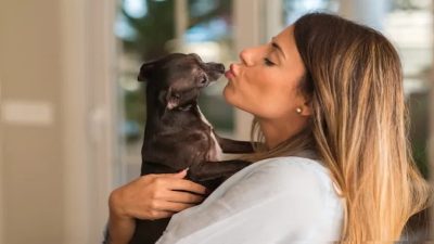 Les chiens aiment-ils les bisous ? La réponse des experts