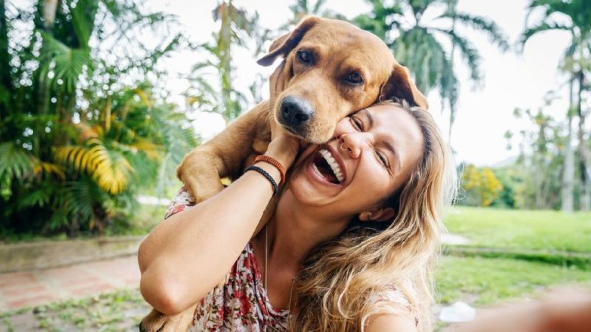 Les chiens ont des sentiments et pleurent de joie lorsqu'ils retrouvent leur maître, selon cette étude