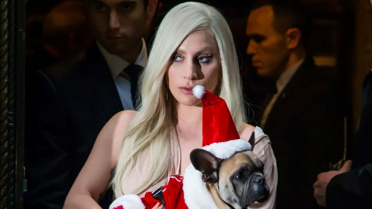 C'est l'homme qui a volé les chiens de Lady Gaga et a été condamné à 21 ans