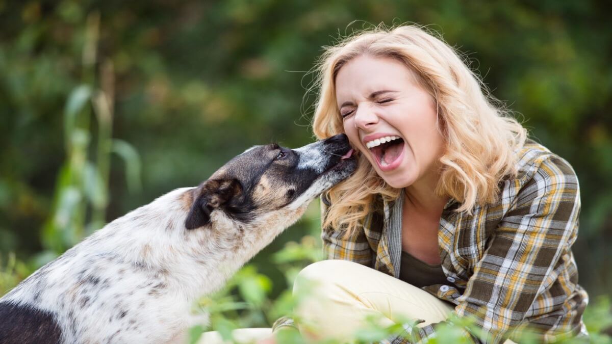 Pourquoi mon chien aime-t-il me lécher les oreilles ?