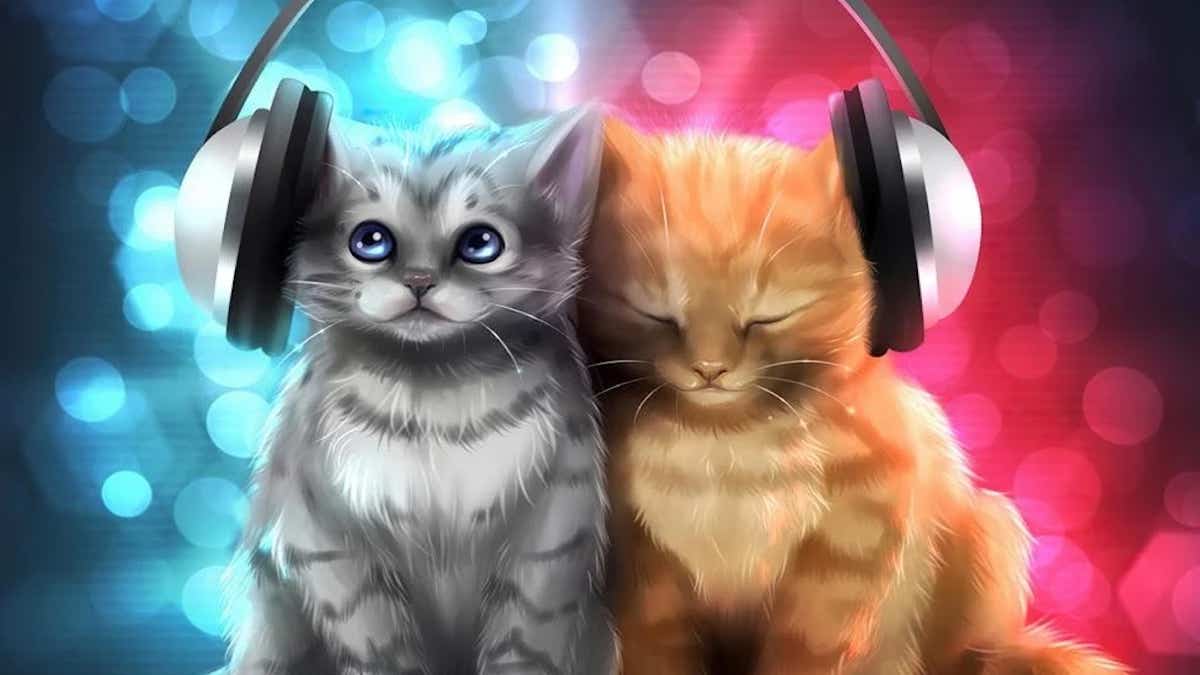 Quels sont les bienfaits de la musique sur les chats selon des chercheurs