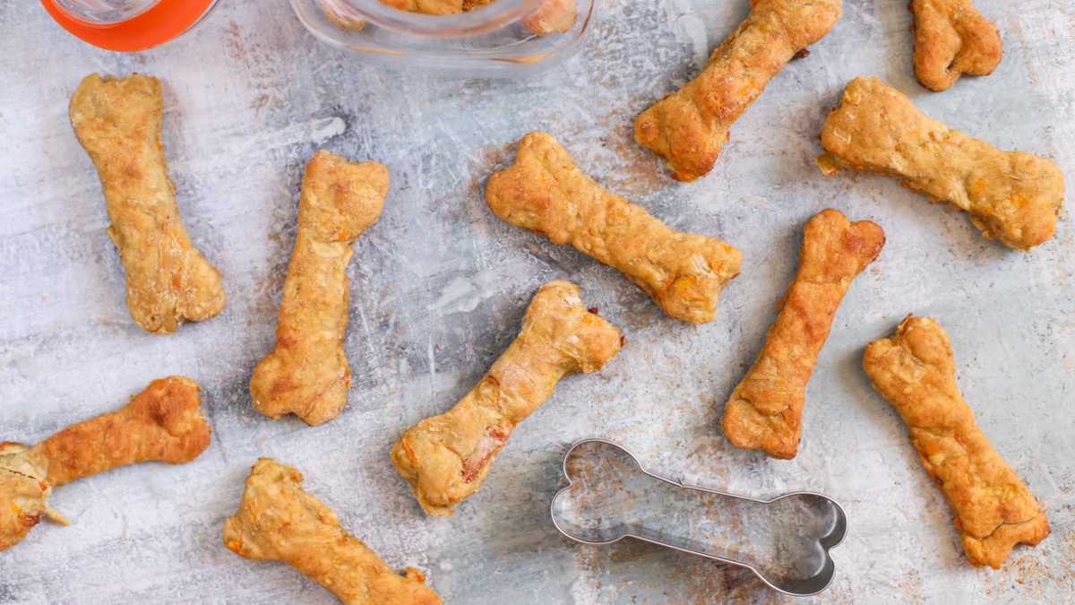 Recette de biscuits pour chiens faits maison avec des pommes et des carottes