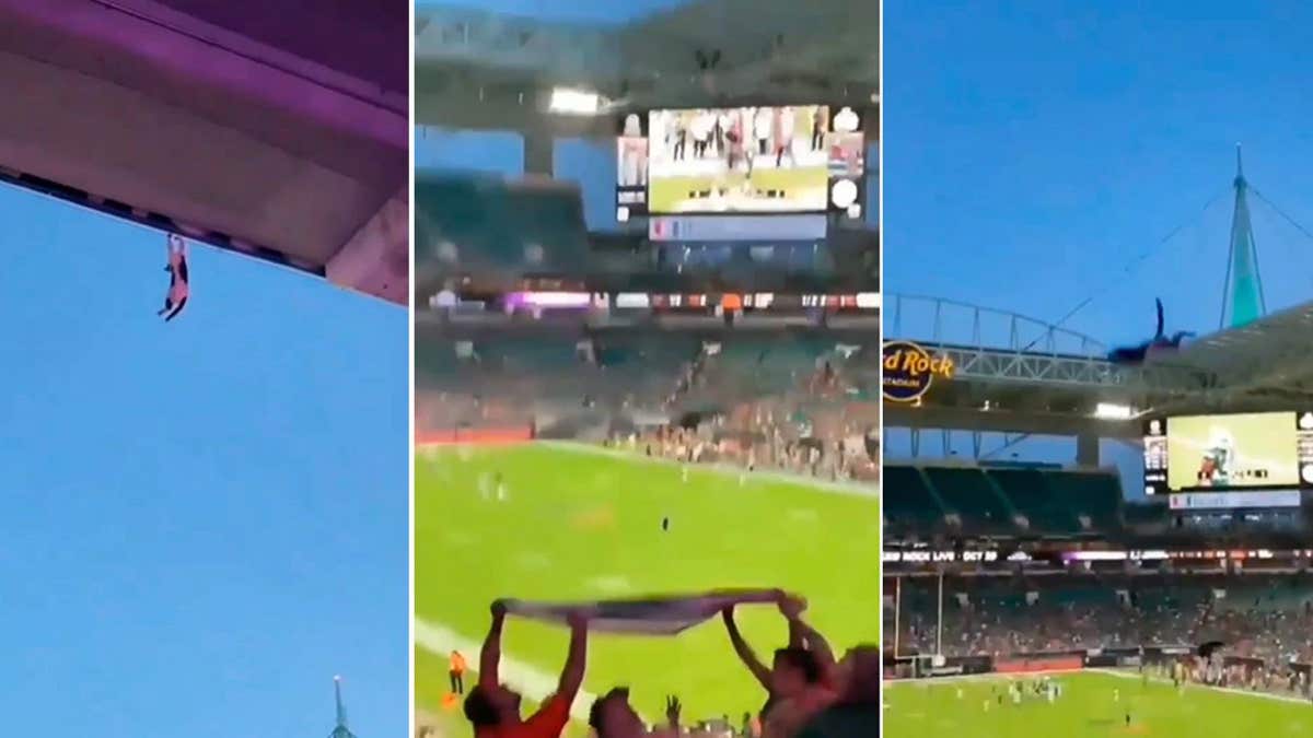 Vidéo : Le chat glisse du toit d'un stade, il est sauvé par les supporters