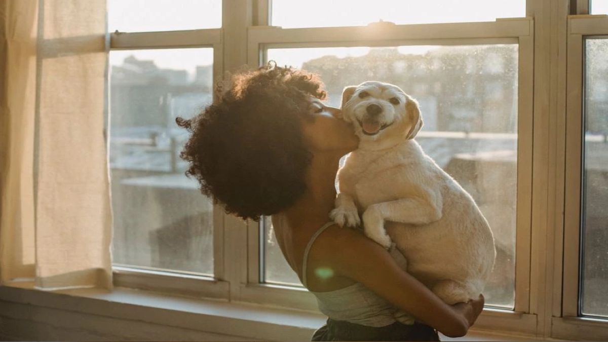 Découvrez les 5 races de chiens les plus fidèles de tous