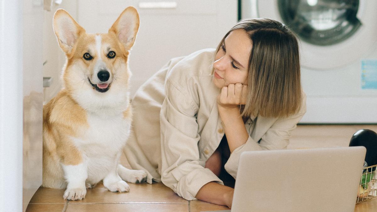 Voici les étranges raisons pour lesquelles les chiens ne veulent pas quitter leur maître