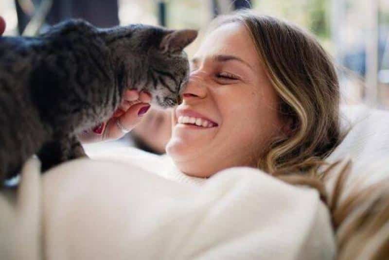 10 Conseils pour une relation chat-humain harmonieuse