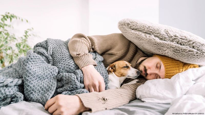C'est pourquoi vous ne devriez pas partager un lit avec votre chien en hiver, préviennent les experts