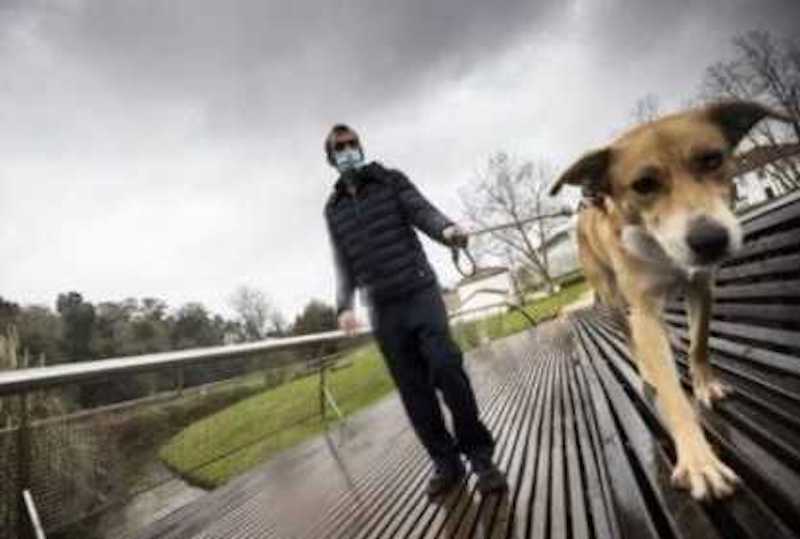 Le moment où un homme de la rue malade refuse d'échanger son chien contre un foyer d'accueil