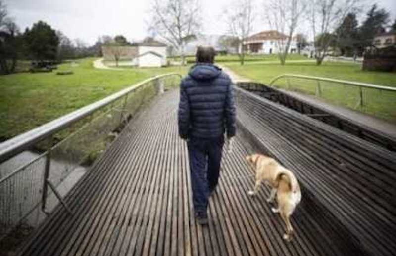 Le moment où un homme de la rue malade refuse d'échanger son chien contre un foyer d'accueil