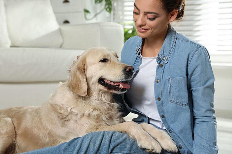 Les chiens sentent-ils la mort des gens ?