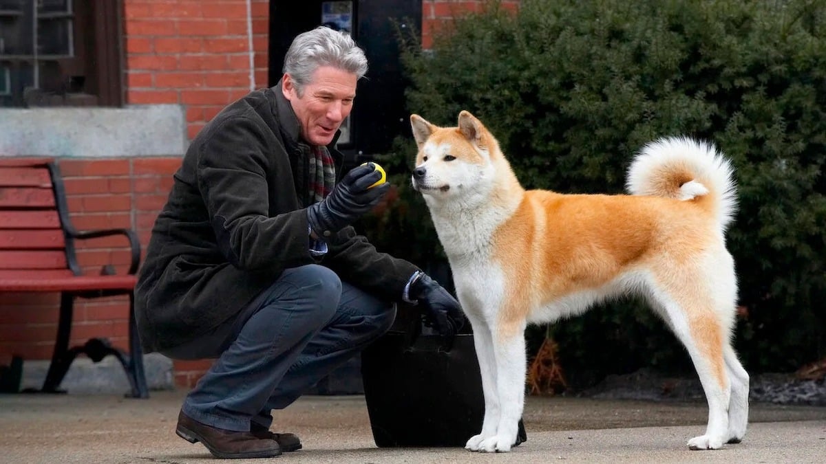 L'histoire vraie de Hachiko, le chien qui a attendu pendant 10 ans son maître décédé