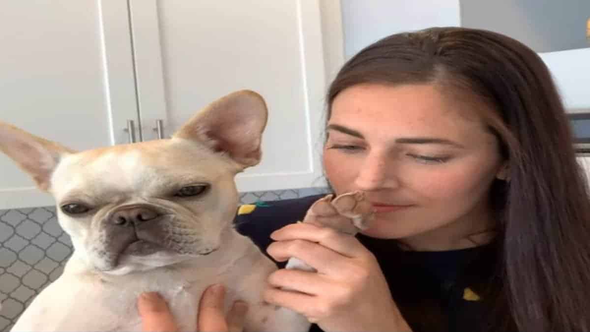 Pourquoi les pattes de votre chien ou chat ont-elles une odeur de friture ?