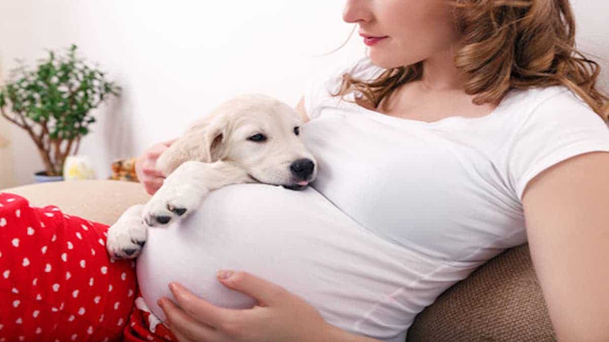 Quand le bébé est né, ces parents ont pris une décision très importante avec le chien