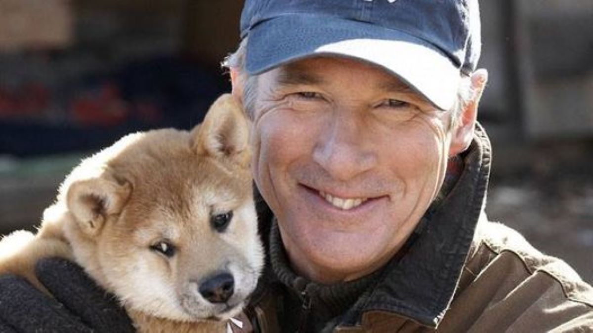 Qu'est-il arrivé au chien adoré du film Hachi ?